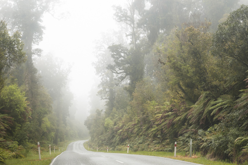 Rainforest Road Rainforest Road
