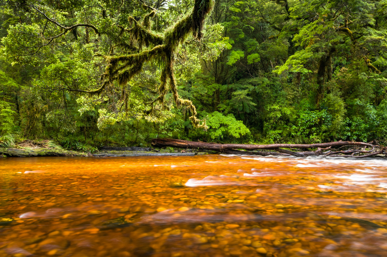Oparara River