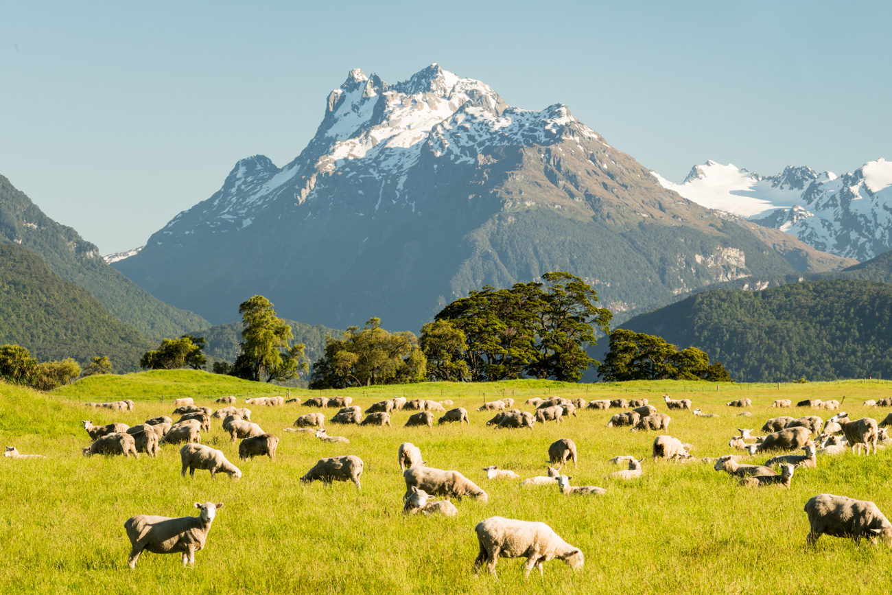 Farming in Glenorchy