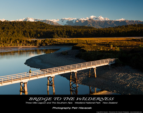 Bridge to the Wilderness