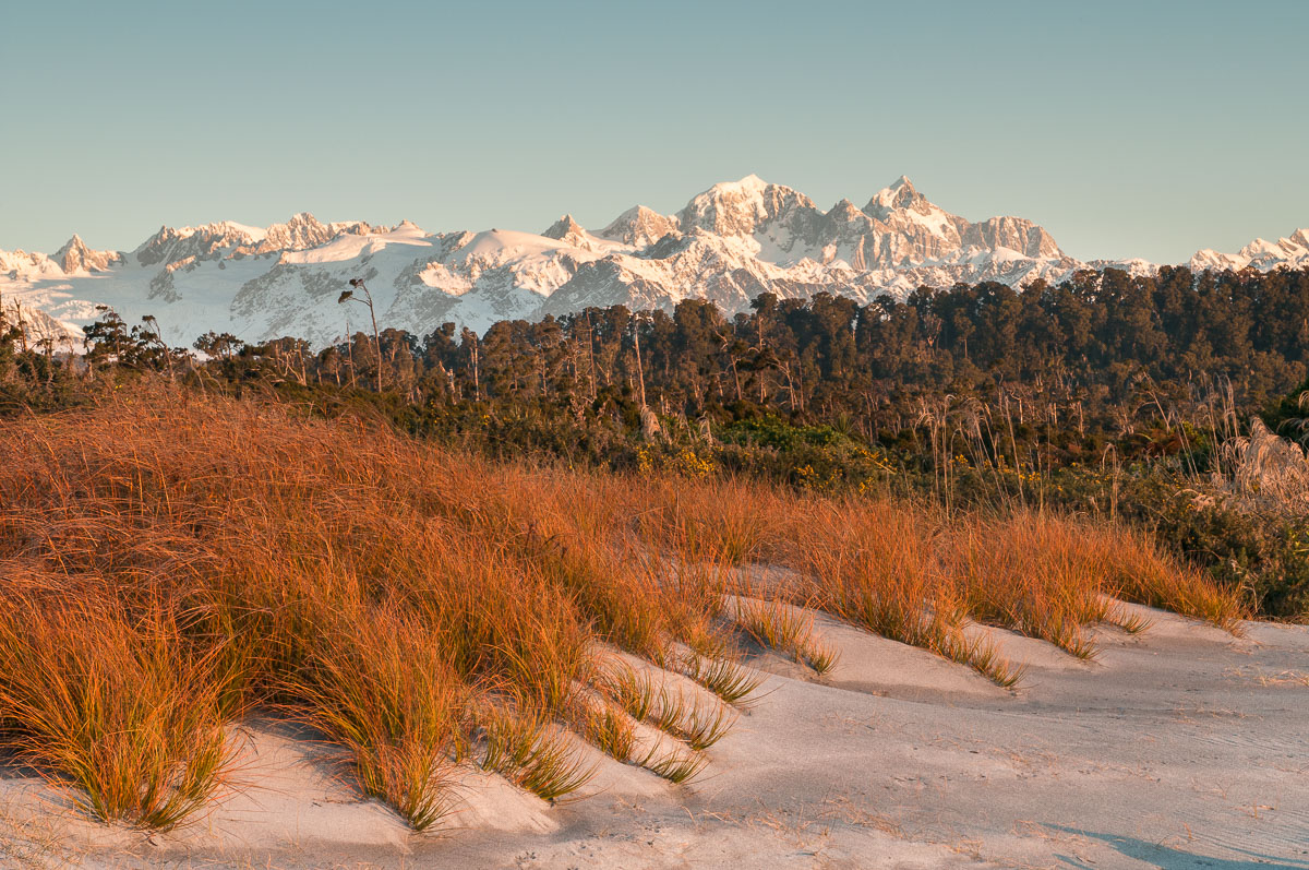 Pingao and Southern Alps