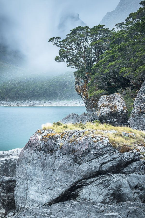 Lake Mackenzie with Beech Tree