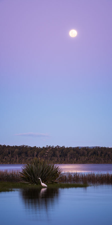Full Moon at Lake Mahinapua and Kotuku