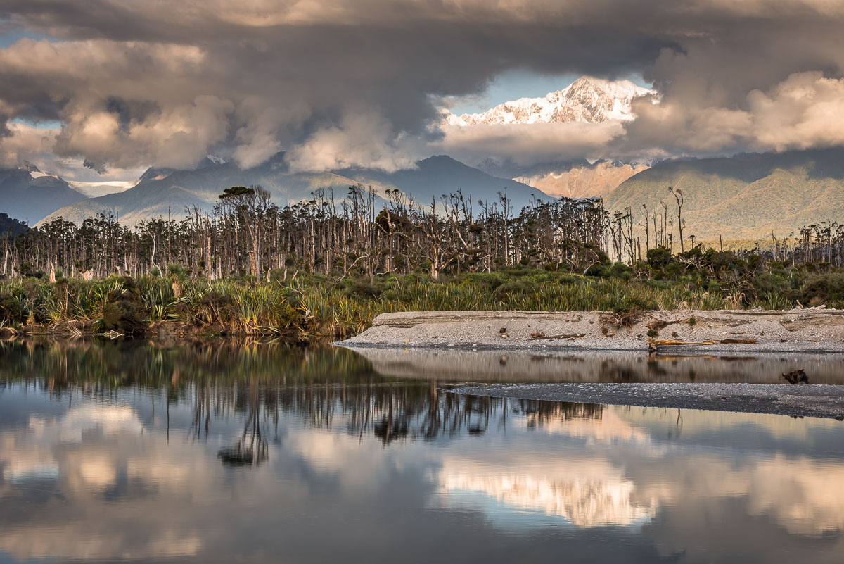 Cook River Reflections