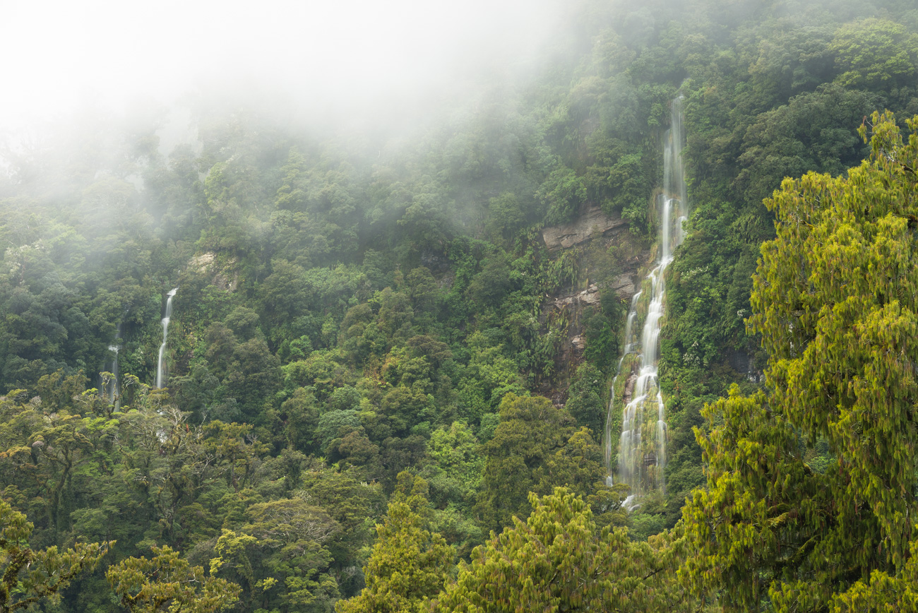 South Westland Waterfalls