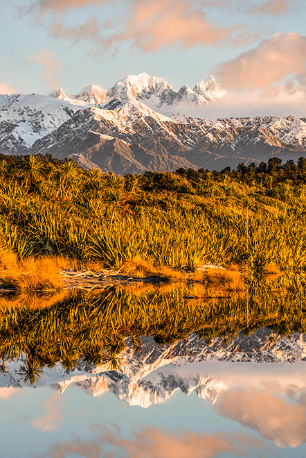 West Coast Spectacle West Coast Spectacle