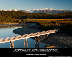 Bridge to the Wilderness