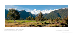 Pastures under the Southern Alps