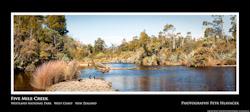 Five Mile Creek