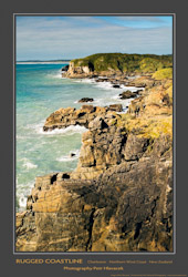 Rugged Coastline