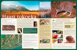 Department of Conservation - Haast Info Panel