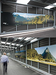 Displays at Christchurch Airport