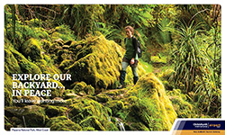 Christchurch Airport Display