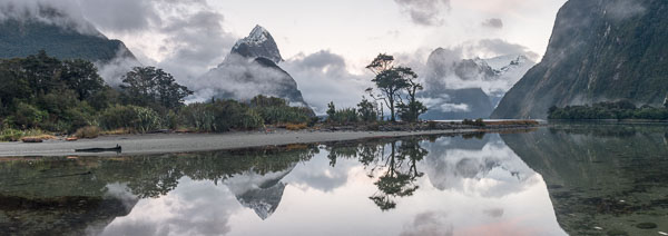 Dawn in Milford Sound