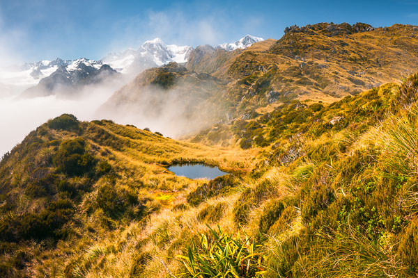 Wilderness of The Southern Alps