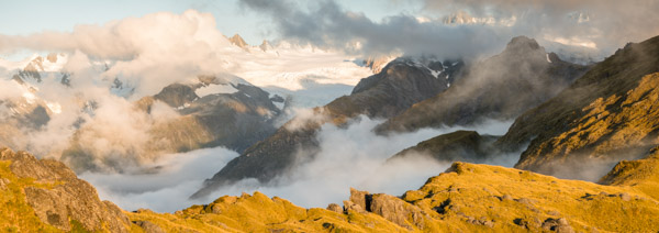 Fox Glacier from Fox Ridge