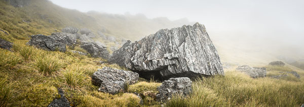 Alpine rock solitude