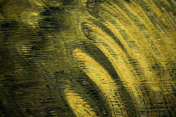 Hall Arm Reflections